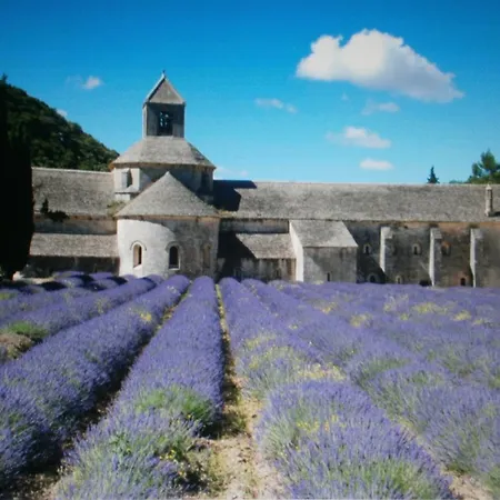 Maison Leopold *